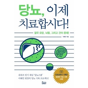 당뇨 이제 치료합시다!:결국 요당 뇌열 그리고 간이 문제!, 북아지트, 이혜민