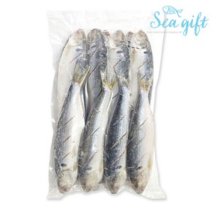 [씨기프트]냉동 손질 전어 1kg 내장손질 칼집 구이용, 1개