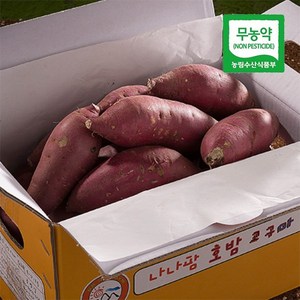 나나팜 단호밤 호밤 무농약 꿀 밤 고구마 3kg (로얄), 1개