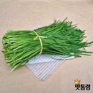 [맛통령] 국내산 싱싱한 부추, 2kg, 1개