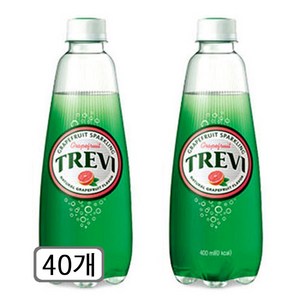 트레비 자몽 탄산음료, 300ml, 40개