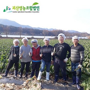 괴산 절임배추 중품 20키로 영농조합법인 지정일필수 (수 금 토), 1박스, 20kg