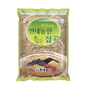 현대농산 국산 늘보리 2kg, 1개