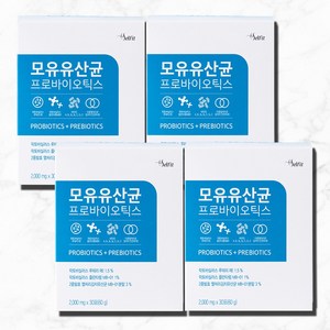 셀핏 모유 유산균 프로바이오틱스 4박스, 60g, 4개