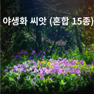 야생화 씨앗 혼합종자15종모음 1kg 봄부터 가을까지 매년 아름다운 경관 연출, 1개