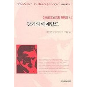 광기의 에메랄드, 고려대학교출판부, 블라지미르 마야꼬프스끼 저 /석영중 역