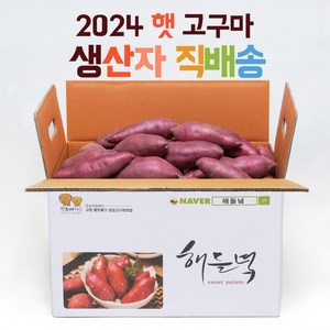 산지직송 해들녘 무농약 고창 꿀 고구마 3kg 5kg 10kg (한입/중/특상/왕), 해들녘고구마 10kg (중 사이즈), 1개