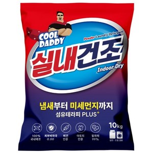 쿨대디 찬물에 잘녹는 실내건조 가루세제, 10kg, 1개