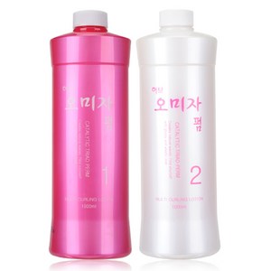 DK 디케이 허브 오미자 펌 파마약 1 2제 1000ml, 1L, 1개