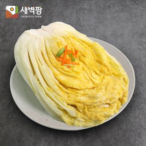 새벽팜 김치 수입 백김치 10Kg 중국산김치 대용량 도매 업소용, 1개