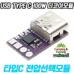 USB TYPE C 100W PD QC 5~20V 트리거 디코이 모듈, 1개