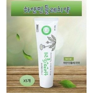 기능성 웰빙치약 잇몸에좋은 하얀민들레치약160g, 150g, 5개