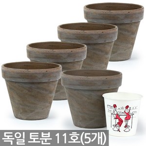 바솔트 독일토분 11호 5개세트 - 표준형 화분 다육이화분 토분 인테리어화분 토기분 미니화분 다육화분 선인장화분 소형화분 식물 다육이, 세인_독일토분 바솔트 11호(5개세트)