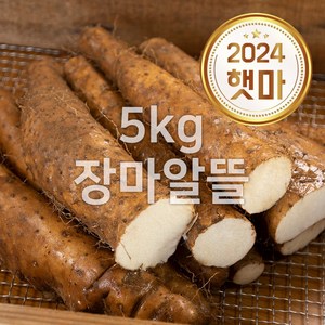 안동 태산농장 장마 2kg 3kg 5kg, 1박스, 5kg (l.장마알뜰)