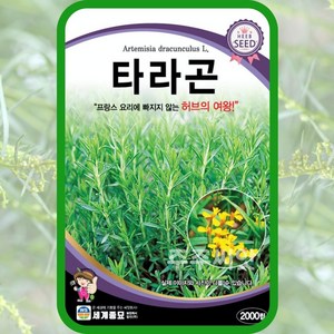 타라곤 씨앗 2000립 허브씨 taagon Atemisia dacunculus, 1개