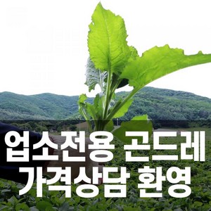 업소용 강원도 정선 곤드레 나물(냉동곤드레 3kg * 6팩), 냉동곤드래3kgx6팩(1박스), 6개