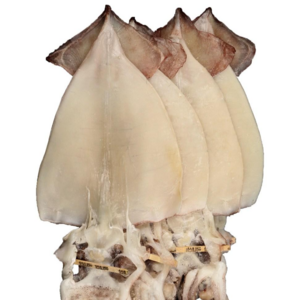 반건조 오징어 국내건조 오징어 피데기 업소용 특대 10미, 1개, 10미 대 (1.5kg 내외)