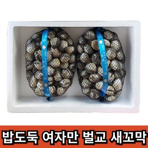 밥도독 여자만 벌교 새꼬막, 1개, 대2kg