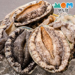 완도맘 활전복, 1개, (왕특대, 1kg) 7마리