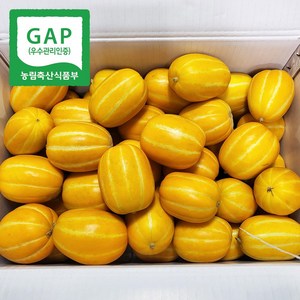 [GAP인증]당도보장 꿀 제철 과일 성주 실속 참외 가정용 소과, 1박스, 2kg(10-14과)