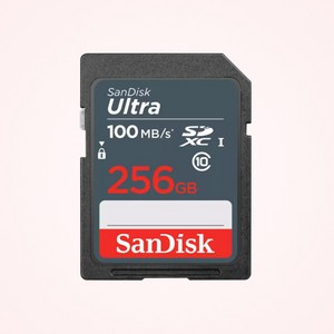 샌디스크 SD카드 울트라 라이트 SDUNR 캐논 소니 카메라 메모리, 256GB, 1개