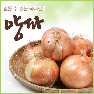 아빠의 마음 국내산 양파 3kg 5kg 10kg, 5kg(중품), 1개