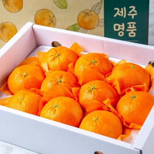 꿀당도 프리미엄 레드향 3kg 로얄과, 선물용 레드향(대과), 1개