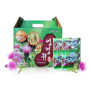 야생초건강원 100% 엉겅퀴즙, 6L, 1개