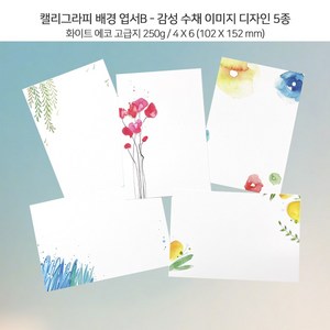 캘리그라피 배경 엽서B Set/ 수업재료/ 감성 수채 이미지 5매 세트(4x6사이즈)