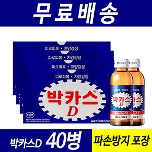 박카스 D 100ml, 40개