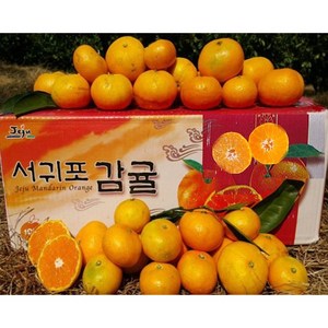 황금농원 서귀포 고당도 조생 귤 첫출하, 10kg 프리미엄중과(M-L), 1박스