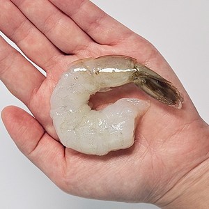 맛꾼 [정품] 칵테일 새우 냉동 깐새우, 1개, 500g(31~40미)
