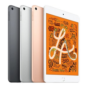 Apple iPad mini 5세대, 골드, 64GB, Wi-Fi