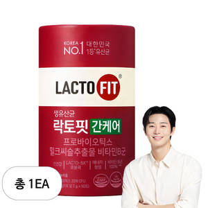 락토핏 간케어 유산균 60p, 120g, 1개