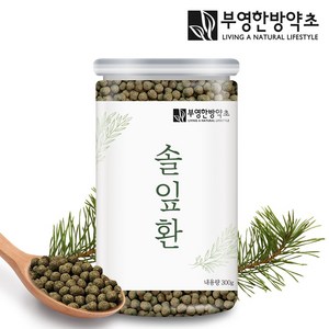 부영한방약초 국내산 솔잎환 300g, 1개