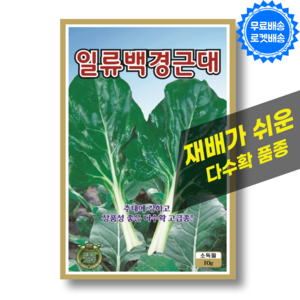 백경근대씨앗 (10g) 근대 씨앗 국거리 채소 씨 종자, 1개