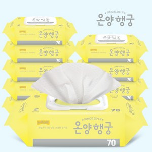 온양행궁 네이쳐 70매 10팩, 10개, 70개