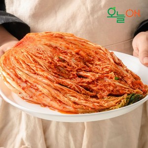 [진프른] 국내산 포기김치 오늘ON, 1개, 5kg