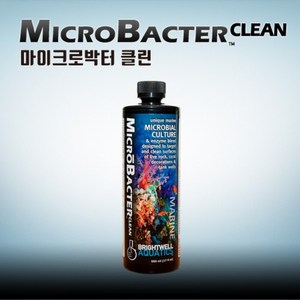 영아쿠아 브라이트웰 마이크로박터 클린, 1개, 250ml