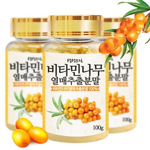 비타민나무 열매 주스분말 300g 가루 (100g*3병), 단품, 3개