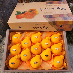 따봉프레시 3차선별 새콤달콤 제주 한라봉 가정용 선물용, 1박스, 3kg(선물)