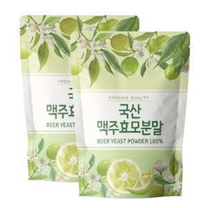 닥터릴리 맥주효모 분말 가루 국산, 2개, 500g