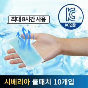 르틸리테 이마 아이스패치 쿨패치 냉각시트 쿨링패치, 1개