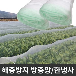 농작물 병충해방지 한냉사 텃밭 모기장 한랭사, 한냉사 1.2m X 10y, 1개