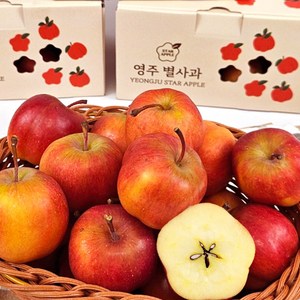 영주 별사과 꿀사과 못난이 주스용 소과, 5개, 1kg(17-25과)