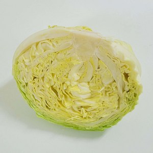 국내산 알찬 양배추 1/2통 반통, 1개, 500g