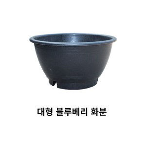 블루베리화분 고무화분/대형화분/수경용 화분용, 배수구멍 O, 1개