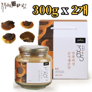 류충현 상황버섯 균사체 100% 분말 300g x2개 베타글루칸 면역 SOD 폴리페놀 비타민 식이섬유 미네랄 아미노산 약용버섯 직장인 수험생 부모님 어르신 환자 기력 활력 건강식품, 2개