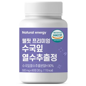 내추럴에너지 웰핏 프리미엄 수국잎 열수 추출물 정 600mg, 60정, 1개, 60정