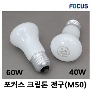 [포커스]크립톤전구 전구색 노란색 E26 220V 40W 60W